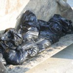 PETA killing animals 6